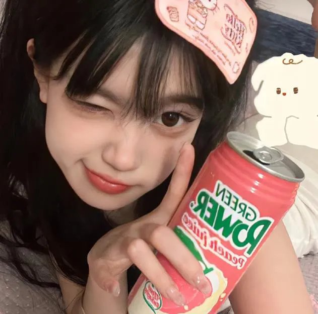 傻了吧我有一屋子美女房客